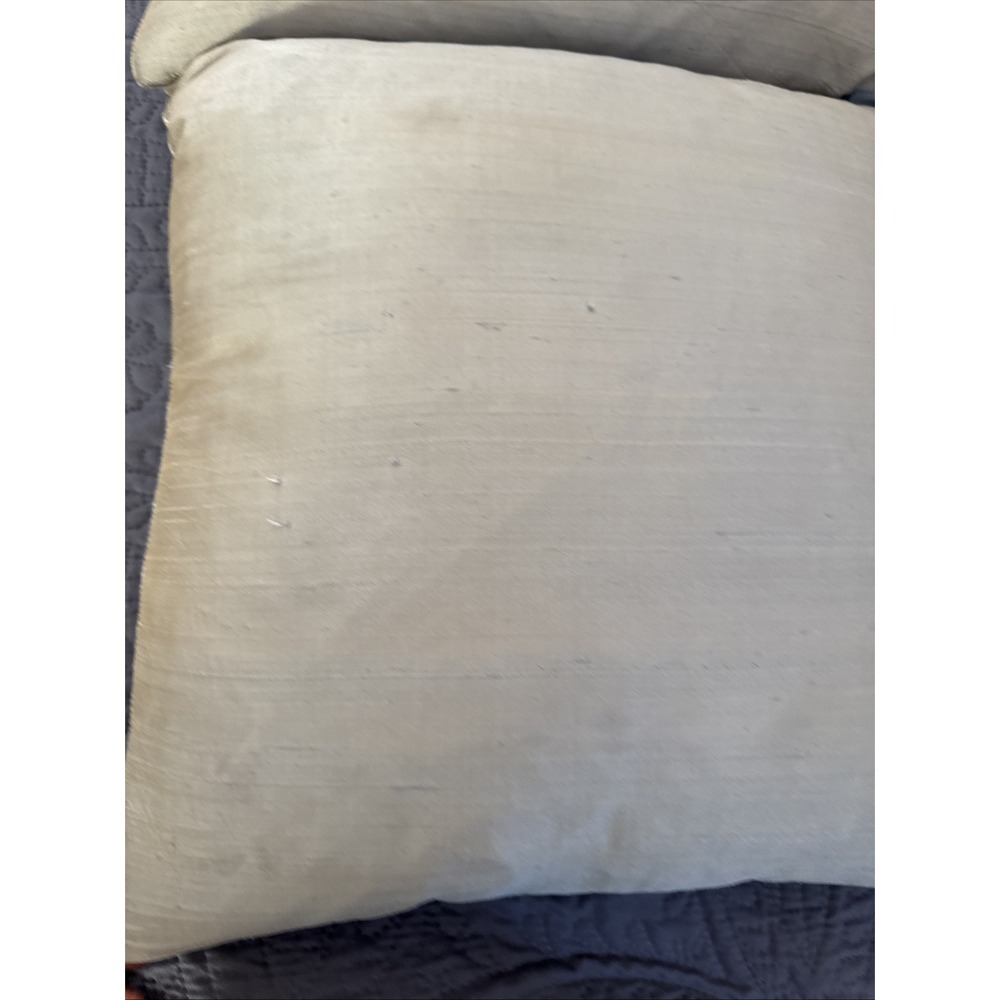 2 Aviva Stanoff Sea Fan Pillow 18x18" Square Velvet pale sea green Down Inserts - Picture 10 of 11